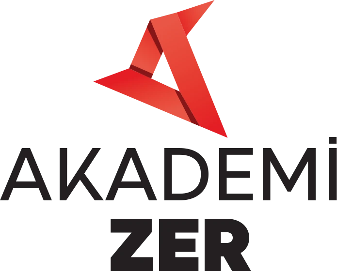 akademizer